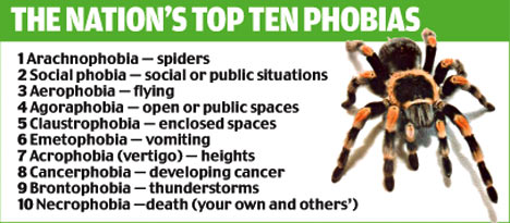 Image result for phobias