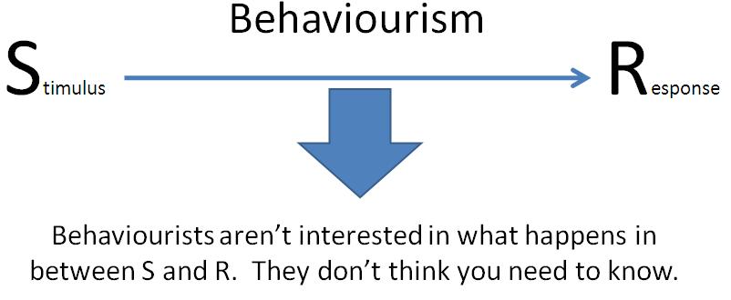 strengths and weaknesses of the behaviourist perspective